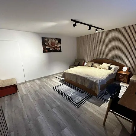 Pri Zmrzline Apartment